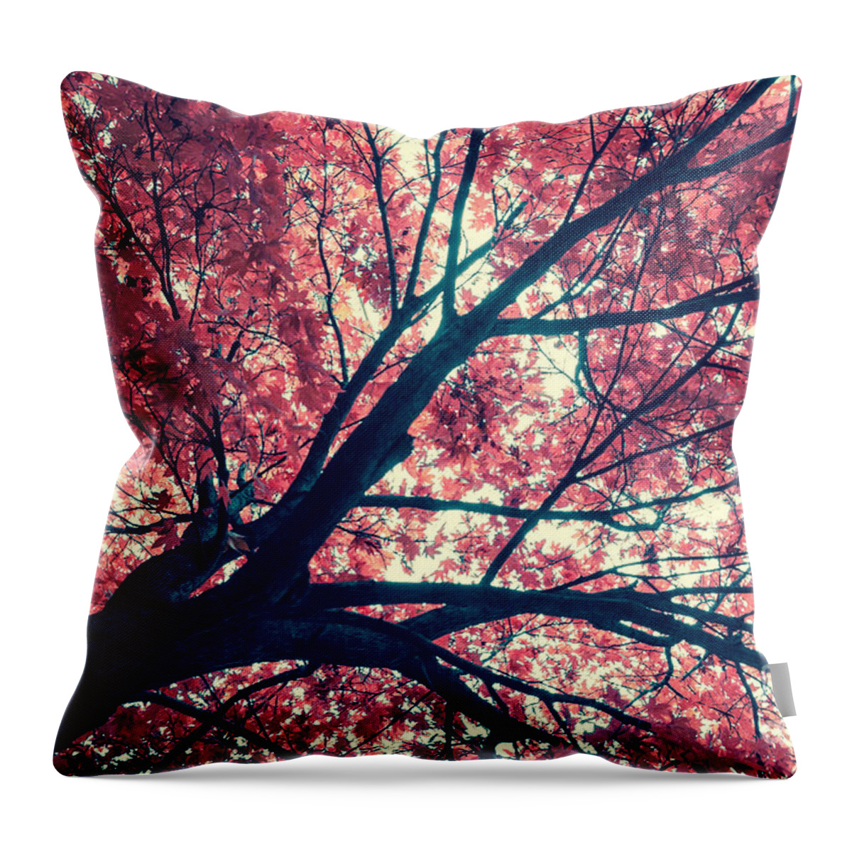 Autumn Throw Pillow featuring the photograph Japanese Maple - Vintage by Hannes Cmarits