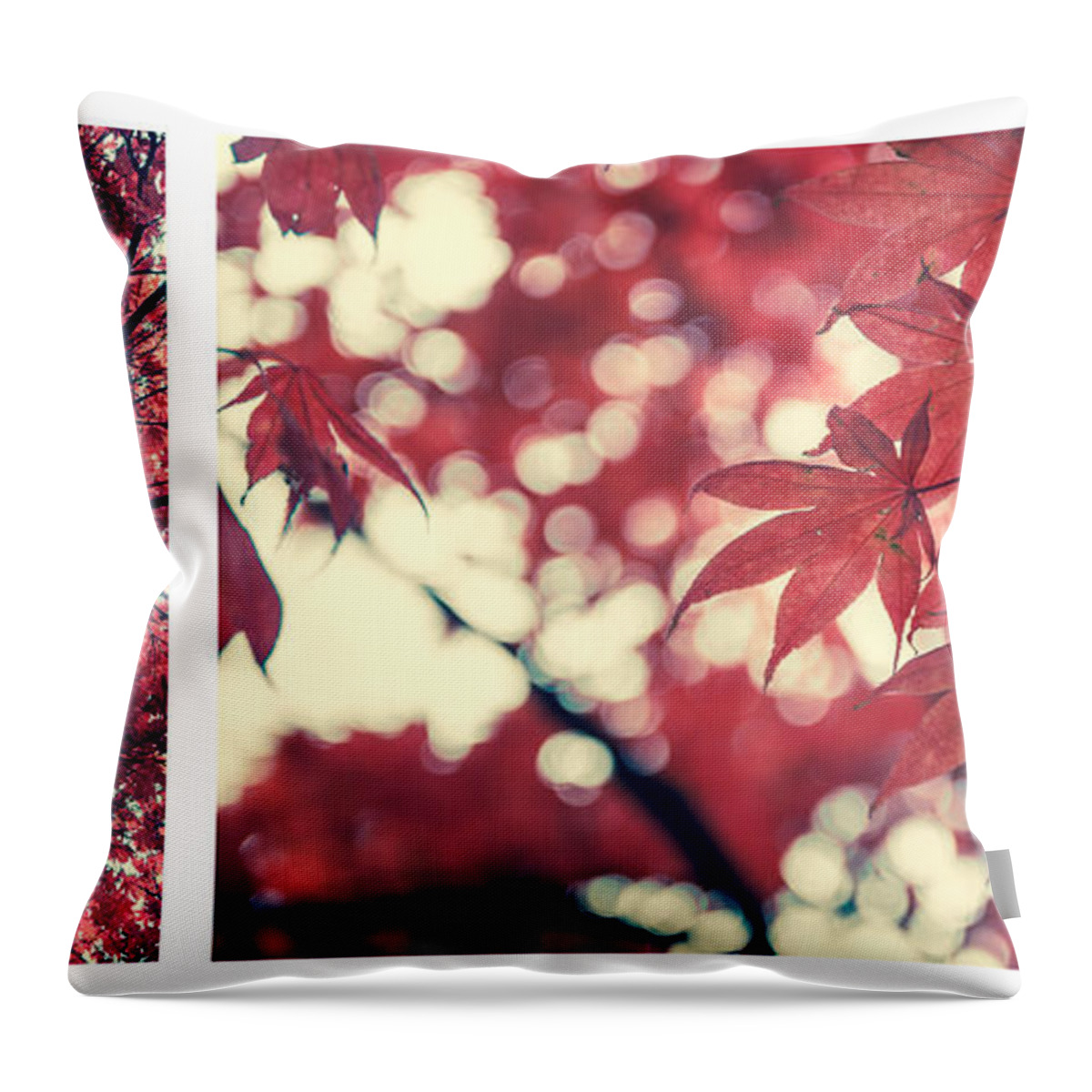 Autumn Throw Pillow featuring the photograph Japanese Maple Collage by Hannes Cmarits
