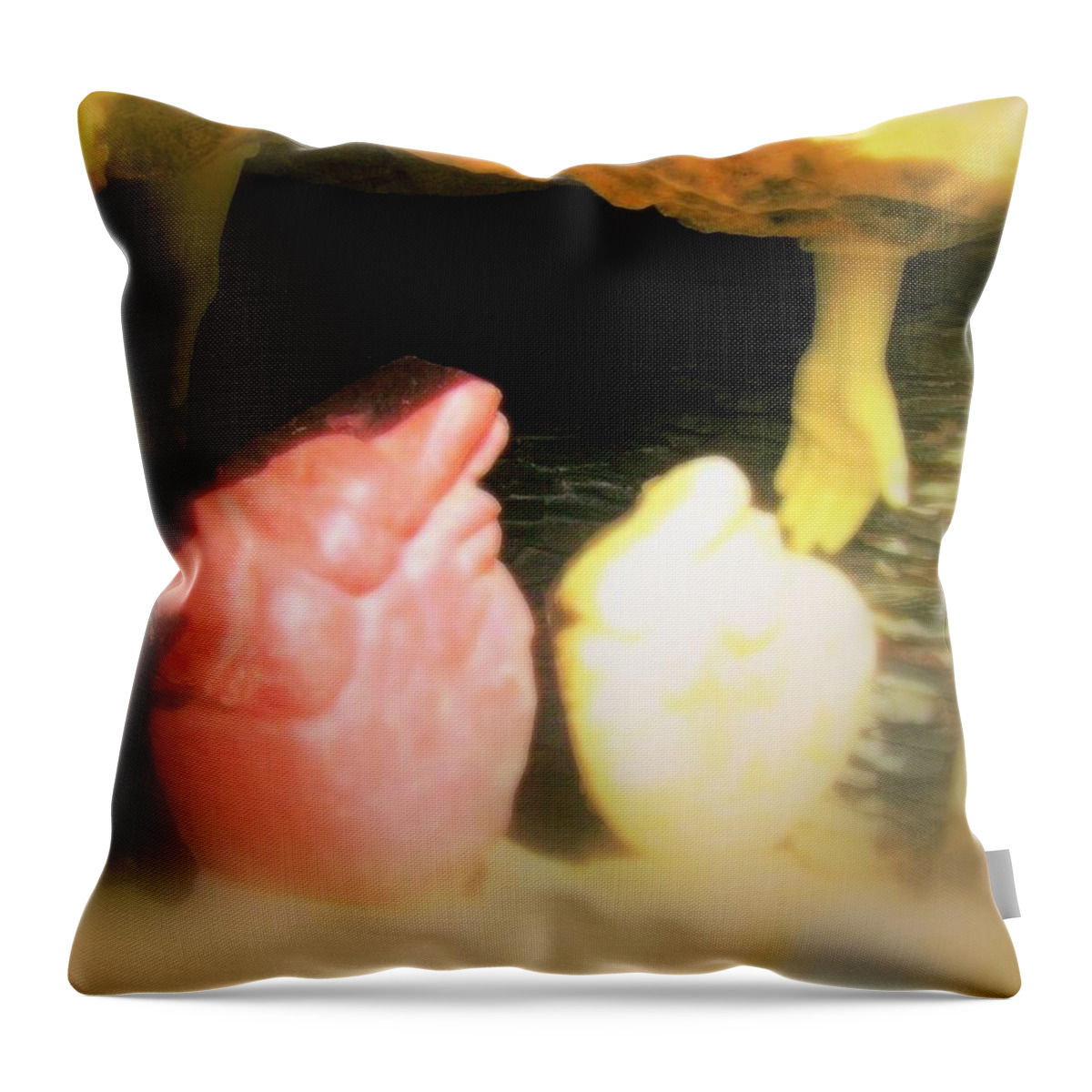 Aorta Throw Pillow featuring the photograph Joe's Aorta by Laureen Murtha Menzl