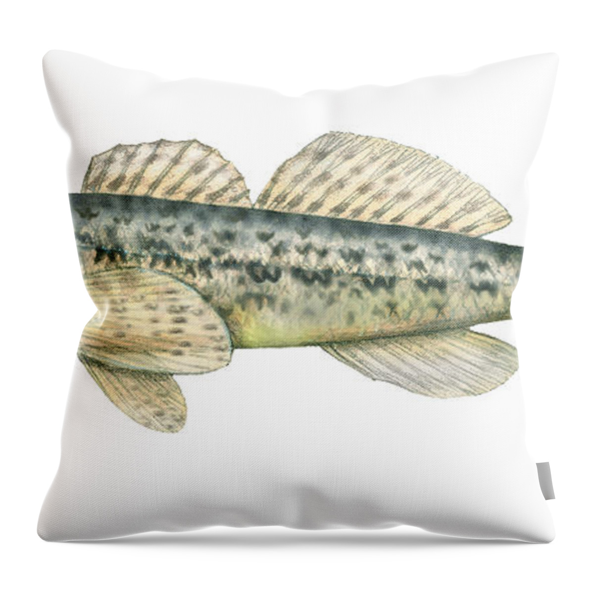 Johnny Darter Throw Pillow featuring the photograph Johnny Darter by Carlyn Iverson