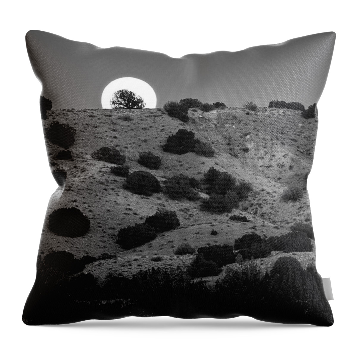 Juniper Throw Pillow featuring the photograph Juniper at Moonrise by Mary Lee Dereske