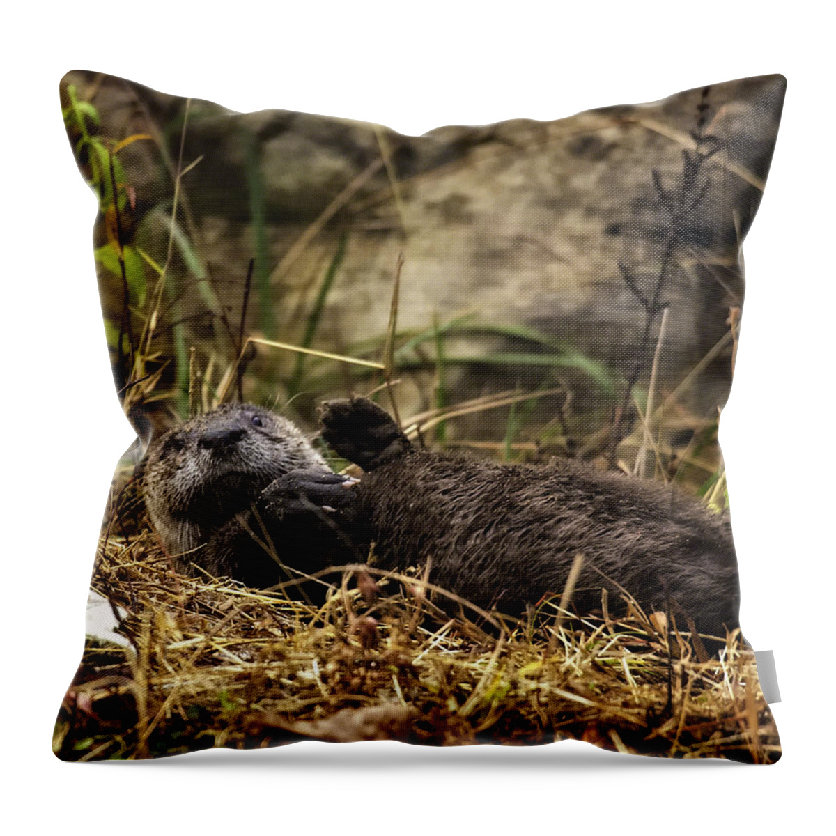 Otter Throw Pillow featuring the photograph Kickin' Back by Michael Dougherty