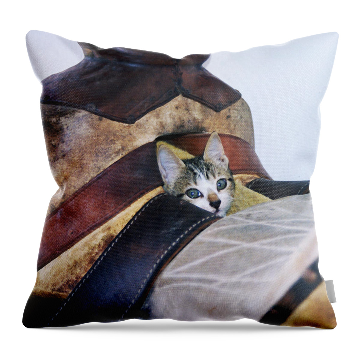 Cat Throw Pillow featuring the photograph Kitty in the Saddle by Kae Cheatham