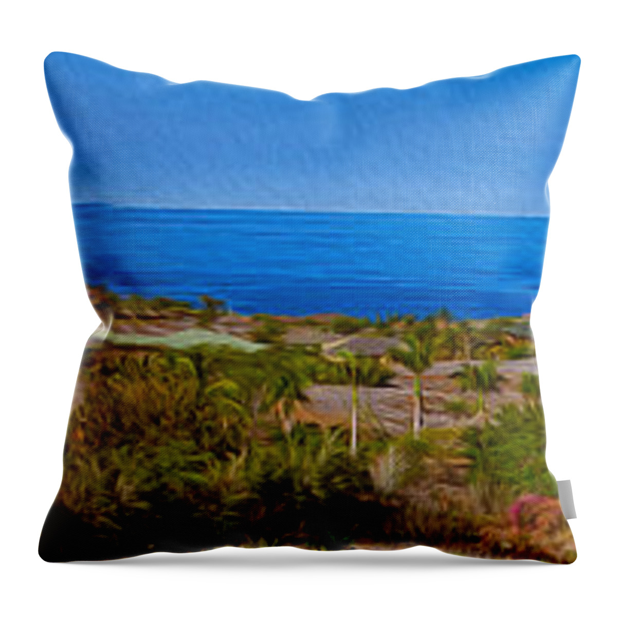 Big Island Throw Pillow featuring the photograph Kohala Coast Panorama by Omaste Witkowski