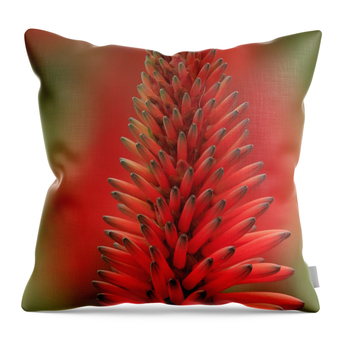 Floral Throw Pillow featuring the photograph La Jolla Floral by John F Tsumas