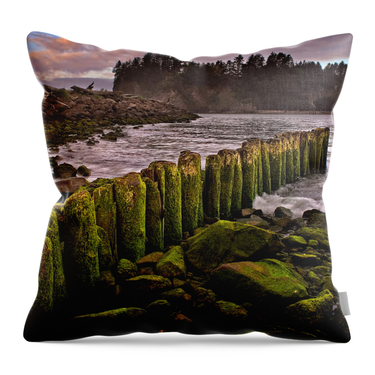 2011 Throw Pillow featuring the photograph La Push by Robert Charity
