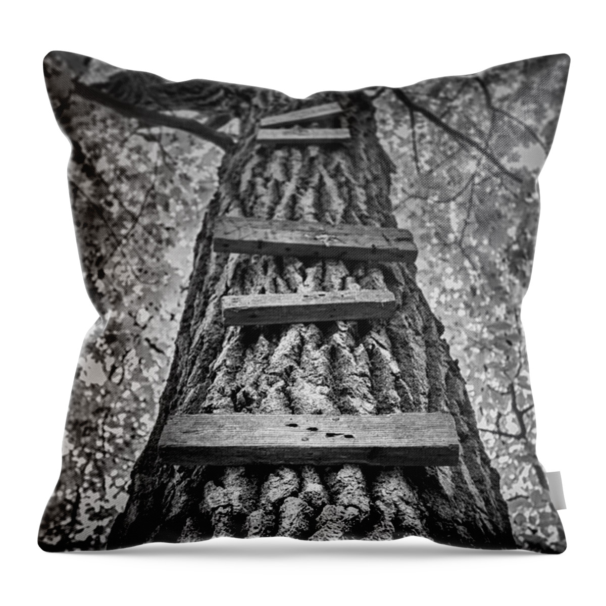 Tree Throw Pillow featuring the photograph Ladder to the Treehouse by Scott Norris