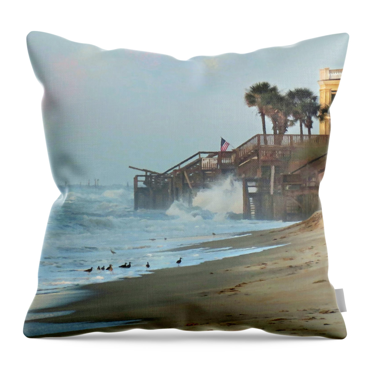 Beach Throw Pillow featuring the photograph Land and Sea by Deborah Smith