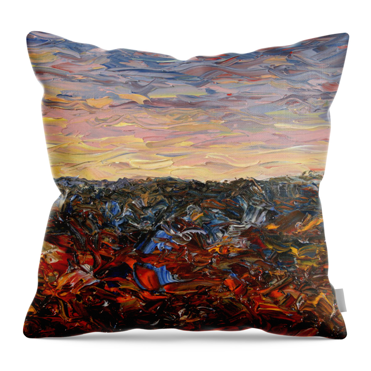 Landscape Throw Pillow featuring the painting Land and Sky 2 by James W Johnson