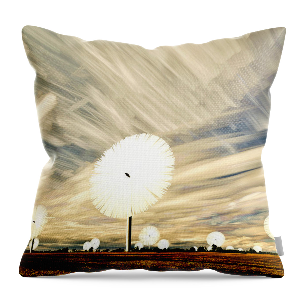 Landscape Throw Pillow featuring the photograph Land of the Giant Lollypops by Matt Molloy