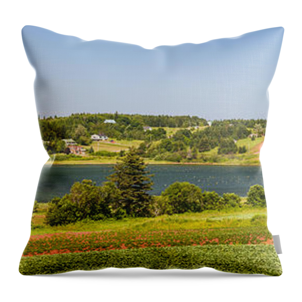 Pei Throw Pillow featuring the photograph Landscape panorama of Prince Edward Island by Elena Elisseeva