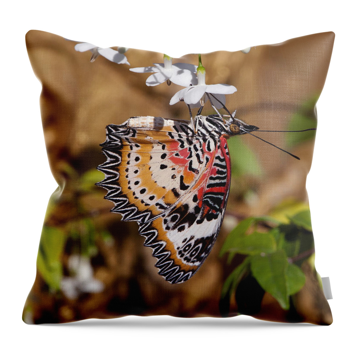 Scenic Throw Pillow featuring the photograph Leopard Lacewing Butterfly DTHU619 by Gerry Gantt