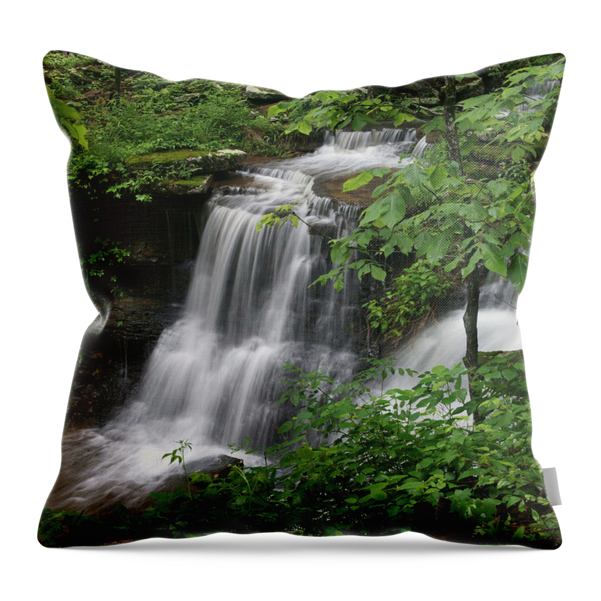 Tim Fitzharris Throw Pillow featuring the photograph Lichen Falls Ozark National Forest by Tim Fitzharris