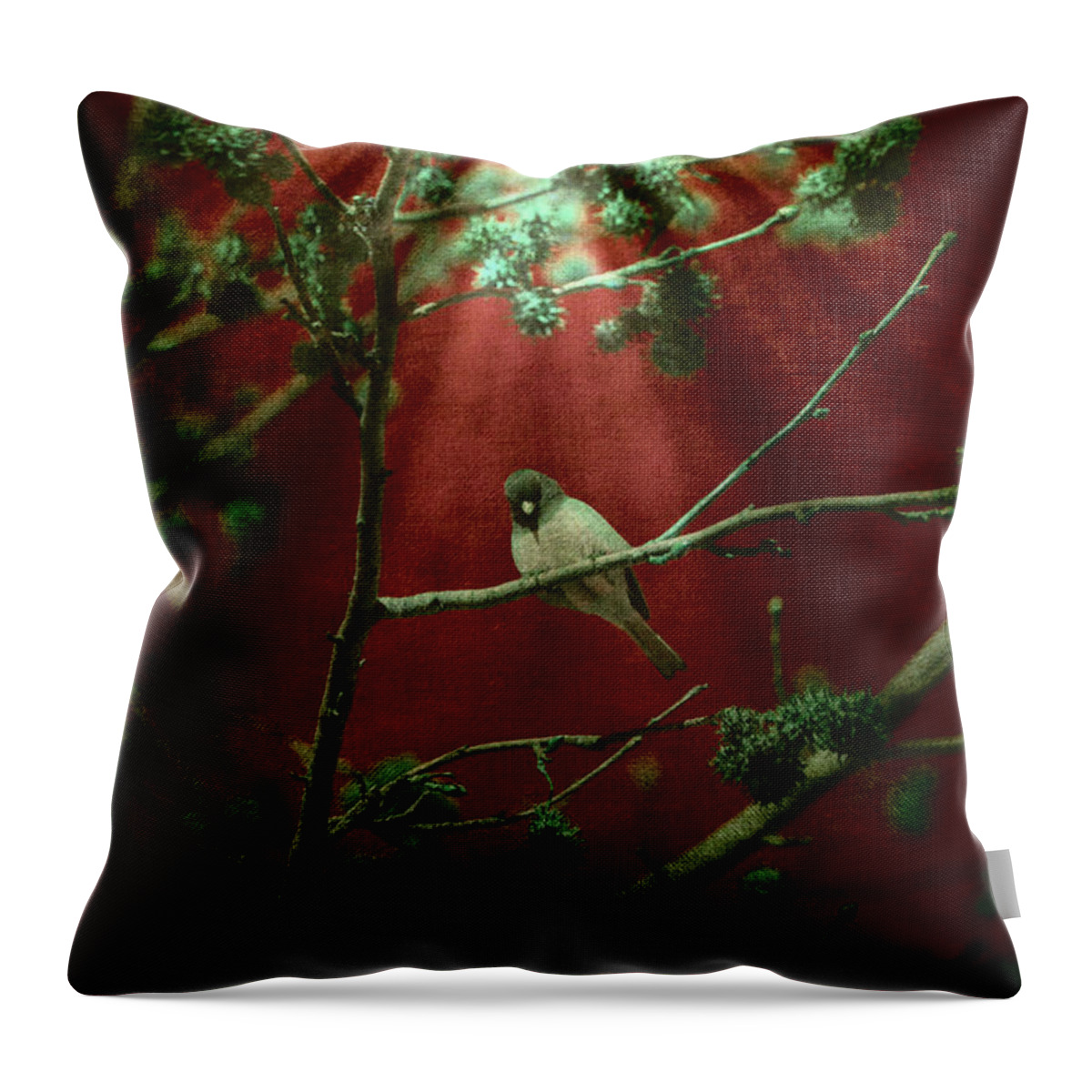 Nature Photography Throw Pillow featuring the photograph Life is a Song by Bonnie Bruno