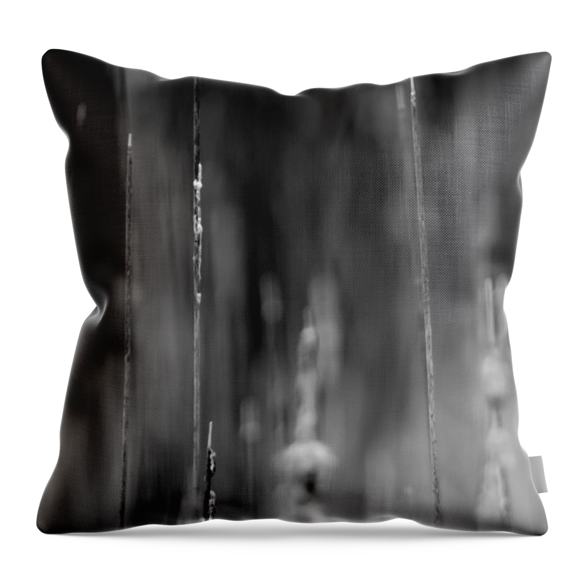  Throw Pillow featuring the photograph Life's Ripple - Left by Steven Santamour