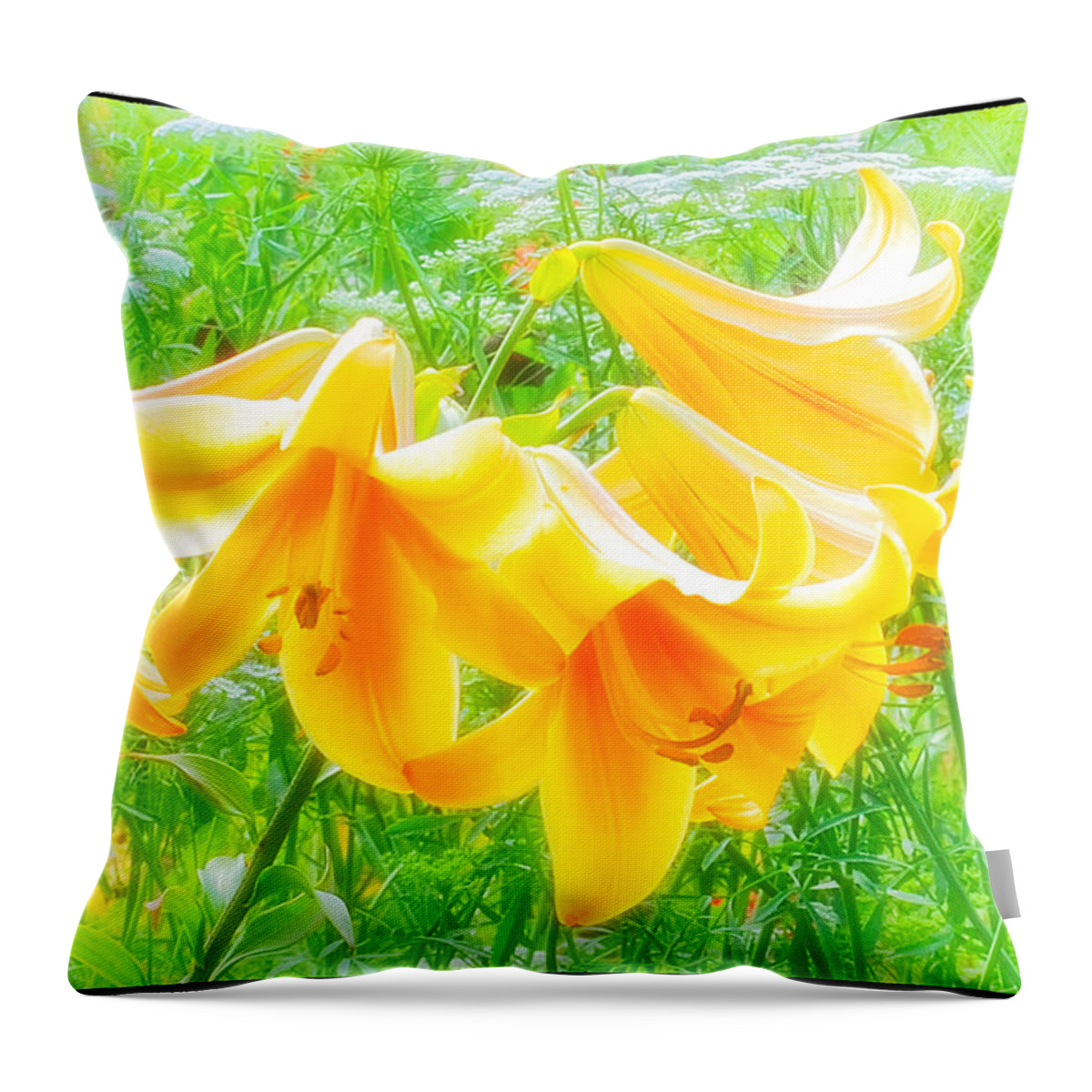 Flowers Throw Pillow featuring the photograph Lilies Back-Lit by Michael Hubley