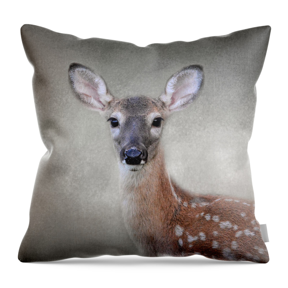 Jai Johnson Throw Pillow featuring the photograph Little Miss Lashes - White Tailed Deer - Fawn by Jai Johnson