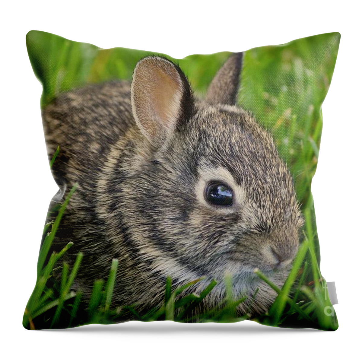 Rabbit Throw Pillow featuring the photograph Littlest Rabbit by Veronica Batterson