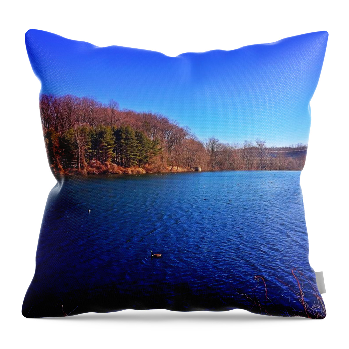 Water Throw Pillow featuring the photograph Loch Raven by Chris Montcalmo
