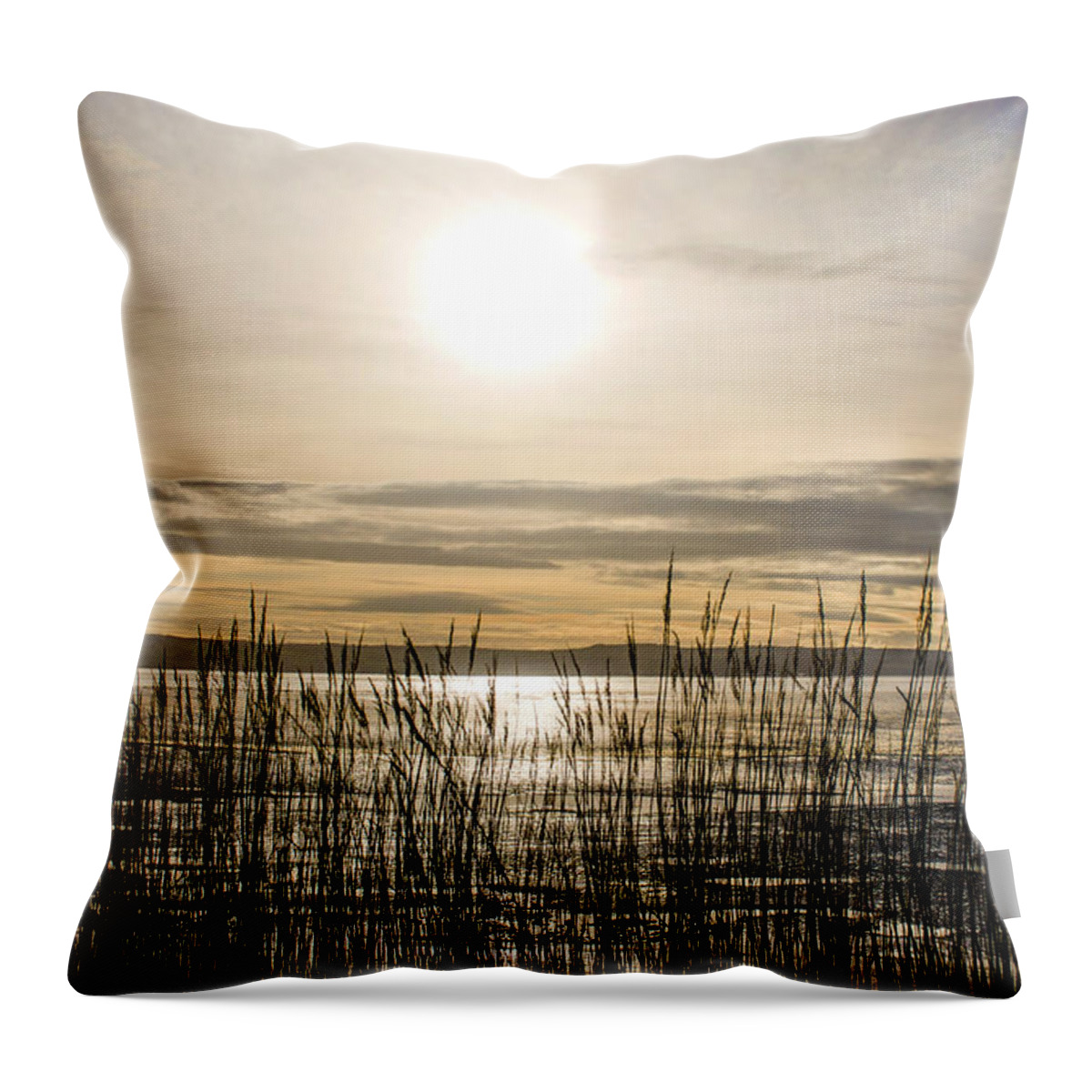North Wales Throw Pillow featuring the photograph Looking at Wales through the grass by Spikey Mouse Photography