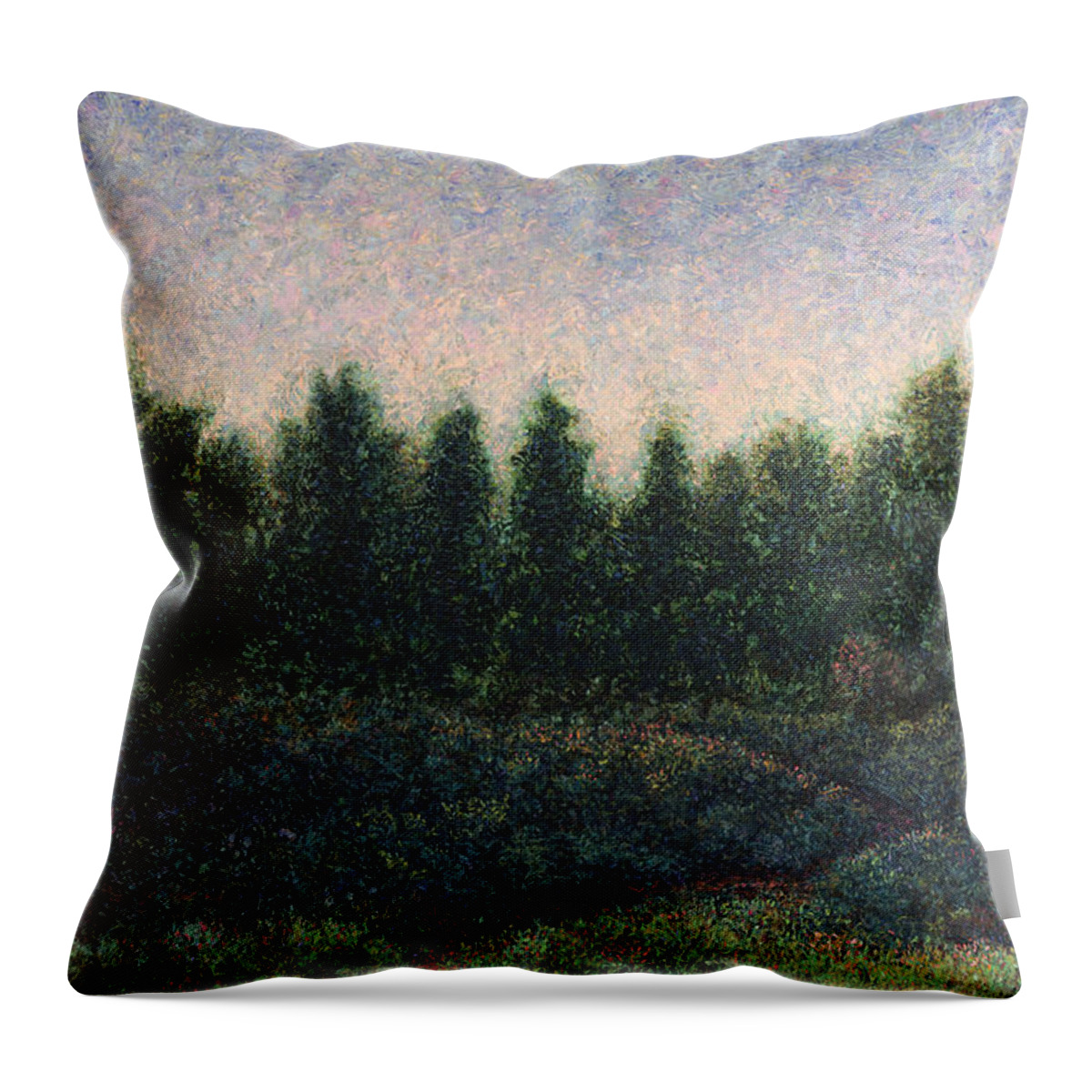 River Throw Pillow featuring the painting Looking Back by James W Johnson