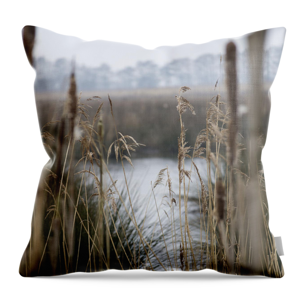 Reeds Throw Pillow featuring the photograph Looking through the Reeds by Spikey Mouse Photography