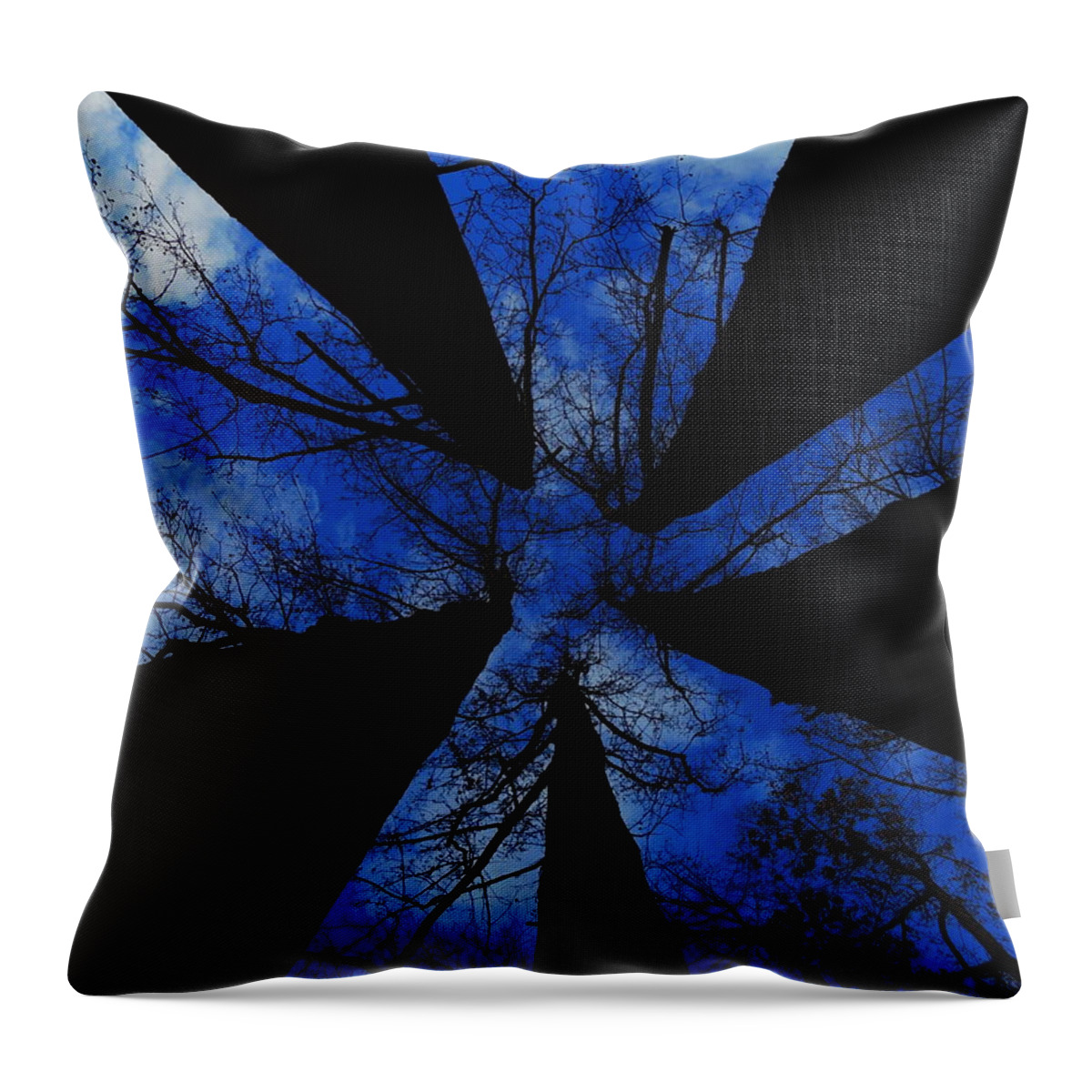 Trees Throw Pillow featuring the photograph Looking Up by Raymond Salani III
