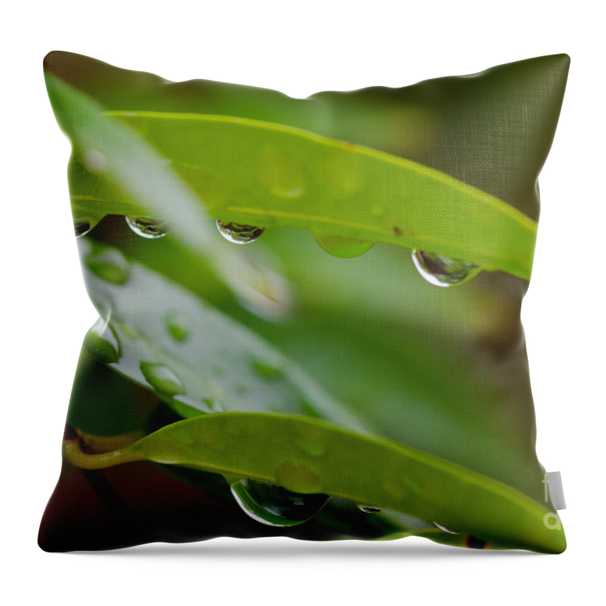 Raindrop Throw Pillow featuring the photograph Looks Like a Peapod by Tamara Becker