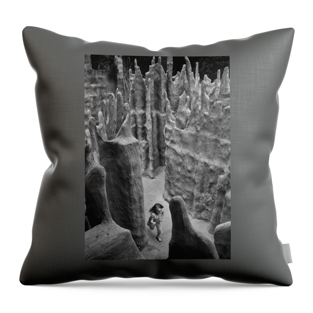 Fantasy Throw Pillow featuring the photograph Lost in a Black and White Dream by Mary Lee Dereske