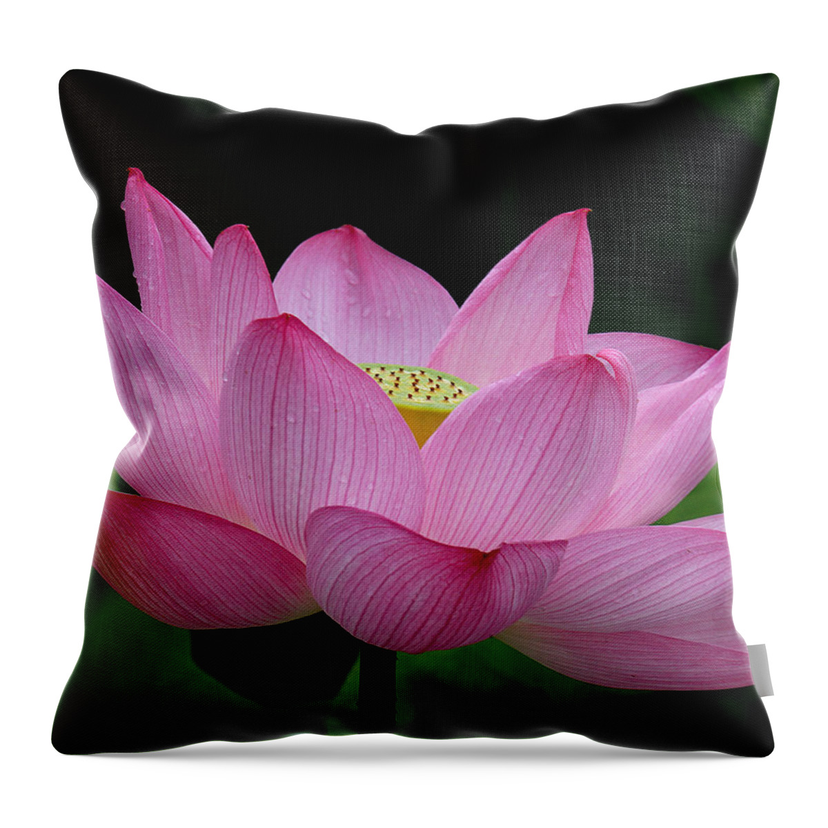Nature Throw Pillow featuring the photograph Lotus-Center of Being iii DL033 by Gerry Gantt