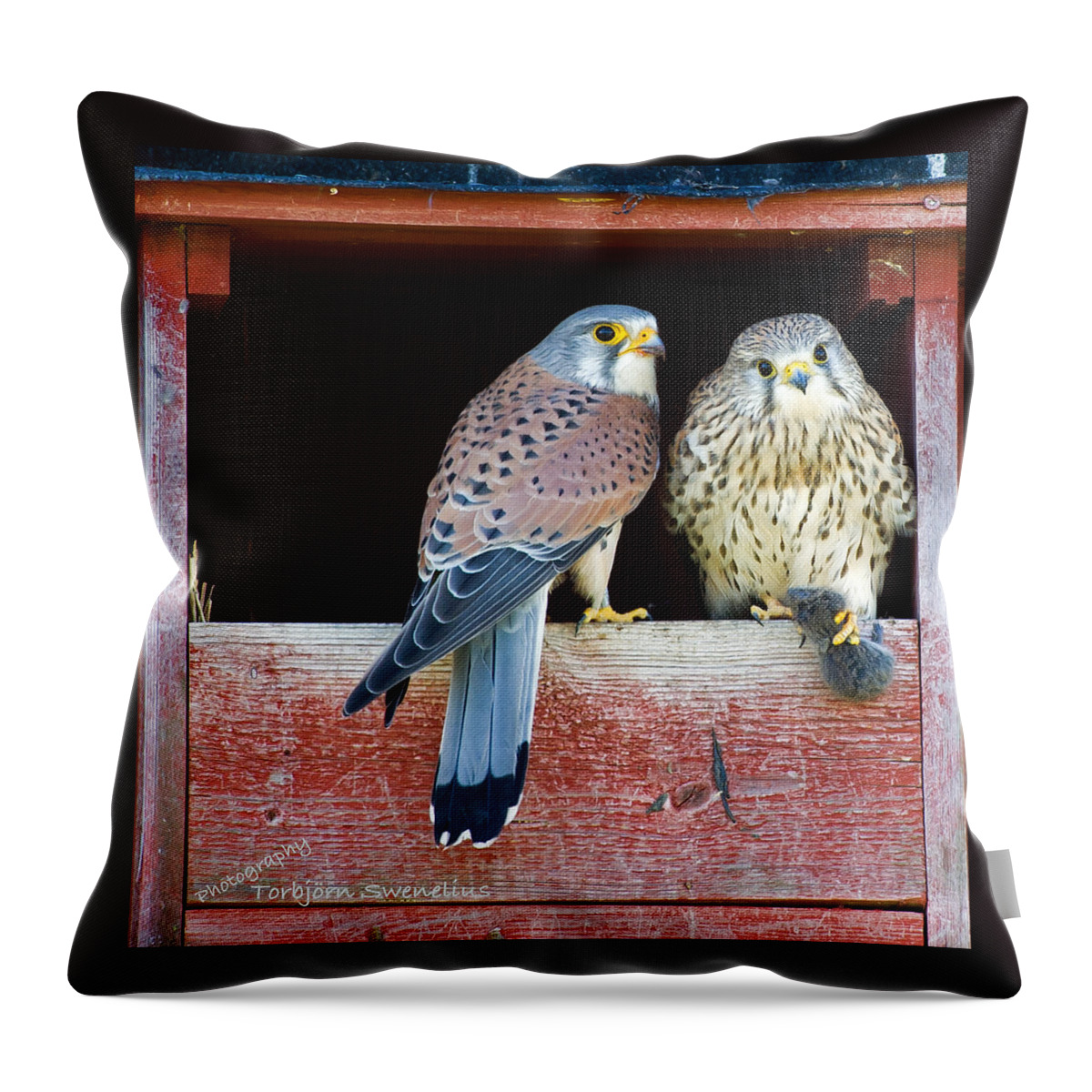 Love Gift Throw Pillow featuring the photograph Love Gift by Torbjorn Swenelius