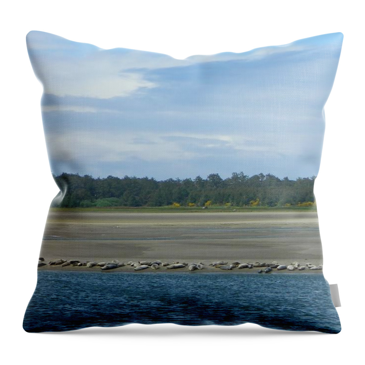 Seals Throw Pillow featuring the photograph Low Tide by Gallery Of Hope 