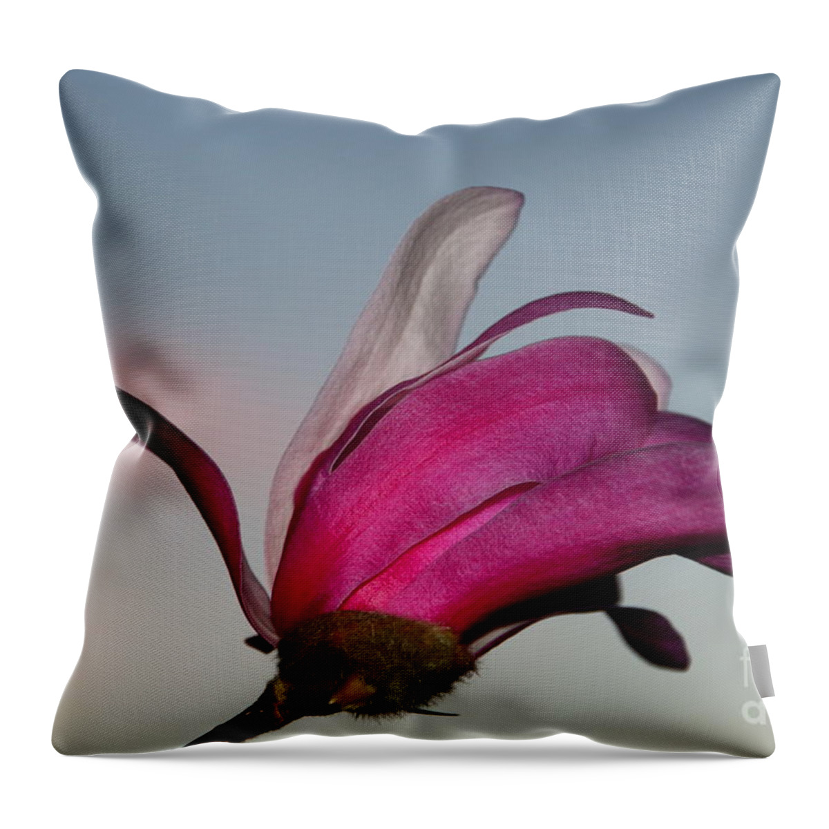 Beautiful Throw Pillow featuring the photograph Magnolia Blossom in the Sunset by Amanda Mohler