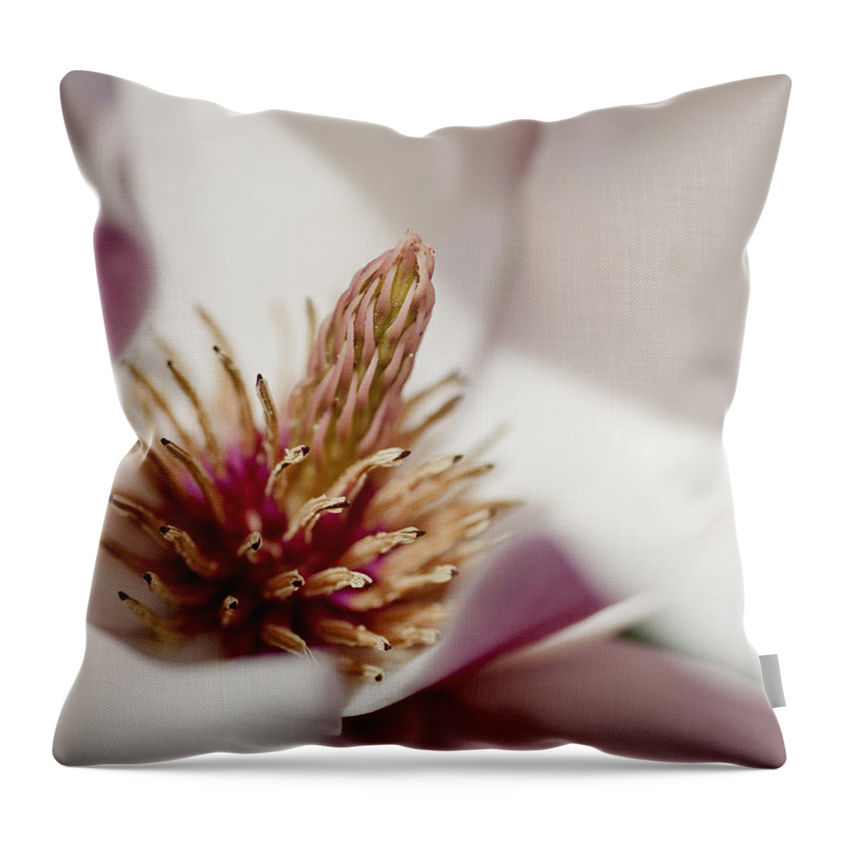 Arboretum Throw Pillow featuring the photograph Magnolia by Steven Ralser
