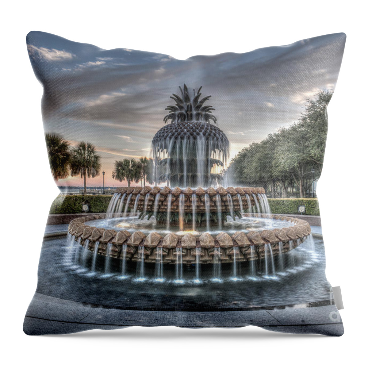 Pineapple Fountain Throw Pillow featuring the photograph Make A Wish by Dale Powell