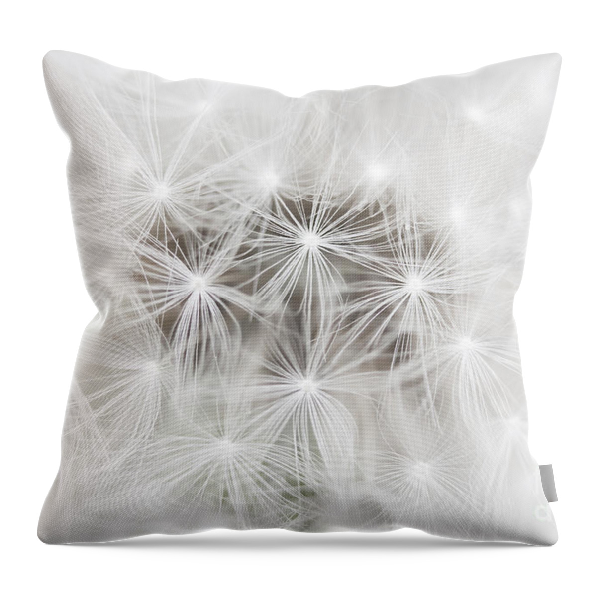 Dandelion Throw Pillow featuring the photograph Make a Wish by Patty Colabuono
