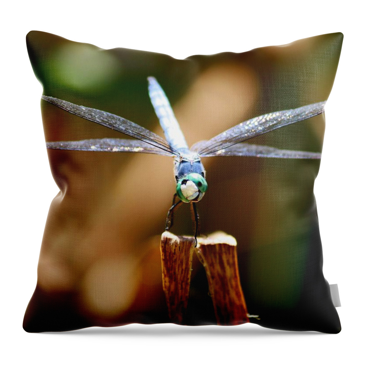 Dragonfly Throw Pillow featuring the photograph Made Ya Smile by Patrick Witz