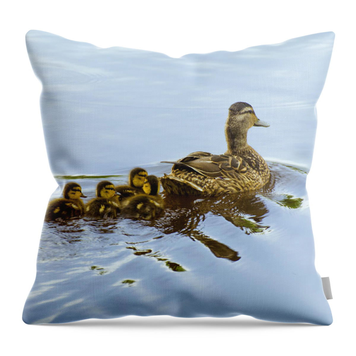 Birds Throw Pillow featuring the photograph Mallard and Chicks by Flees Photos
