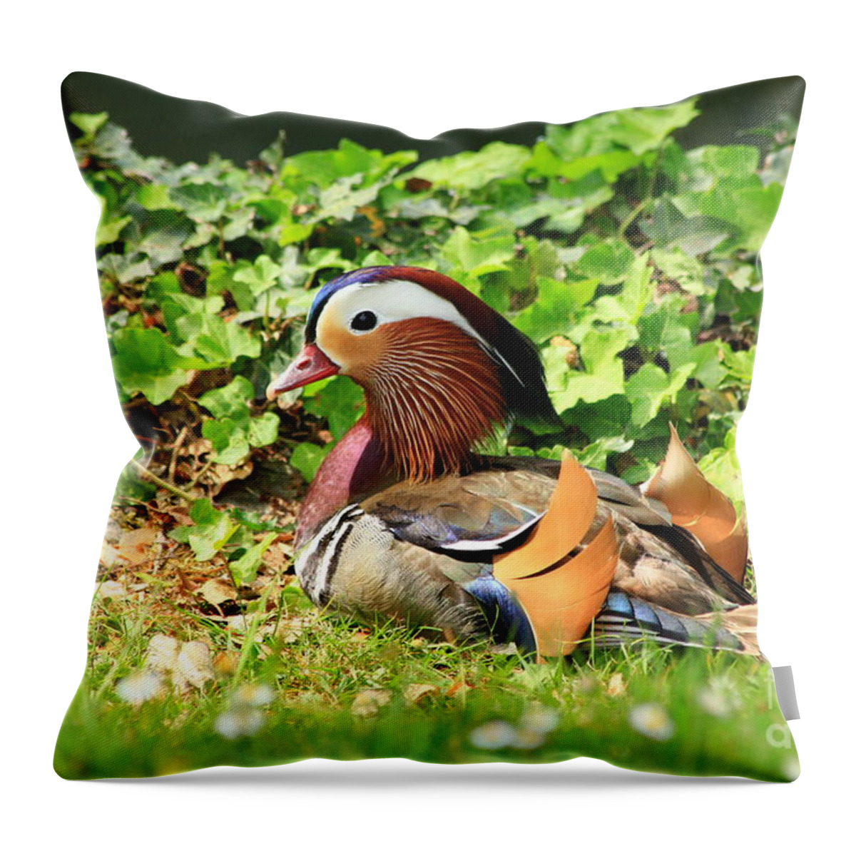 Animal Throw Pillow featuring the photograph Mandarin Duck in the grass by Amanda Mohler