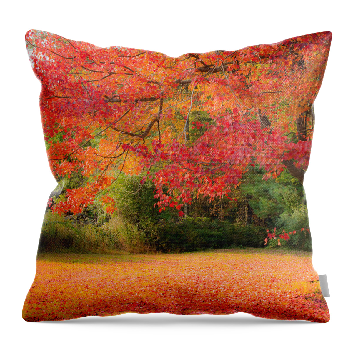 Rhode Island Fall Foliage Throw Pillow featuring the photograph Maple In Red And Orange by Jeff Folger
