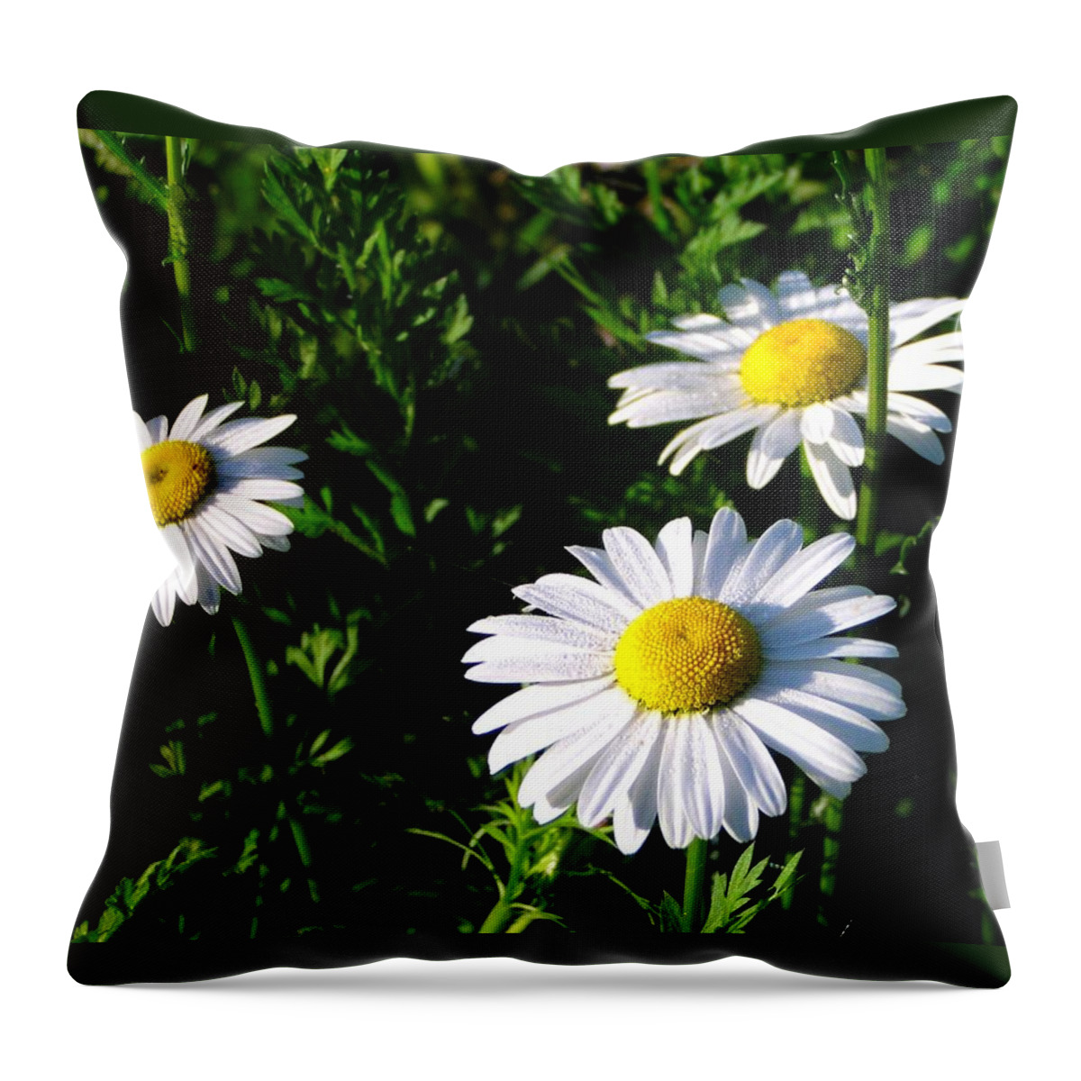 Daisy Throw Pillow featuring the photograph Margeritaville by Gigi Dequanne