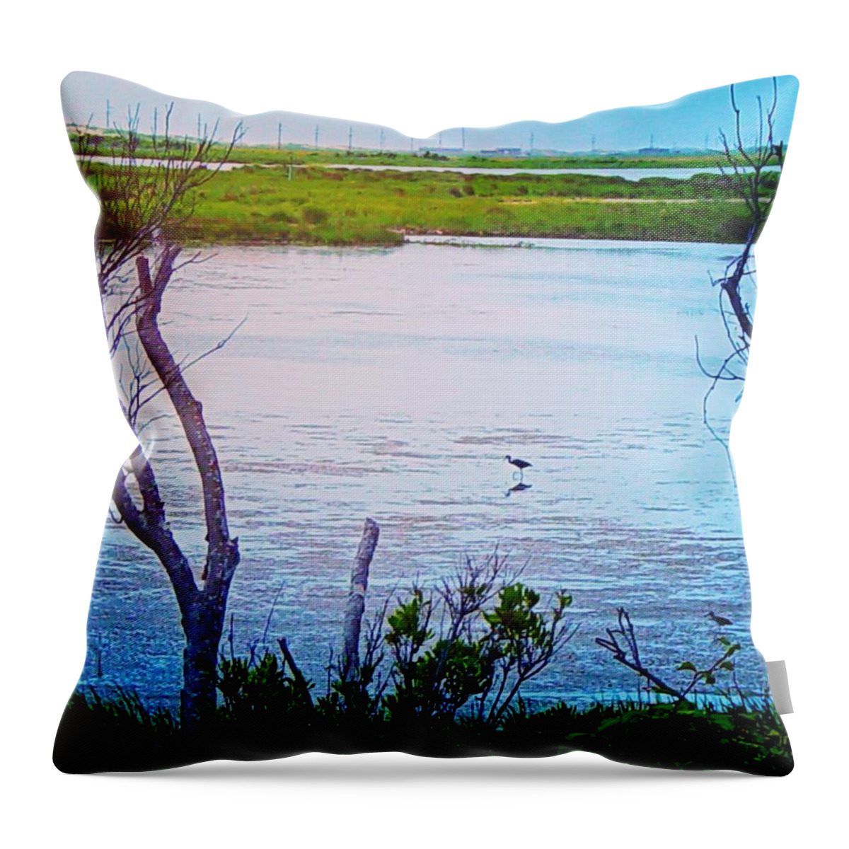 Marsh Throw Pillow featuring the photograph Marsh by Chris Montcalmo