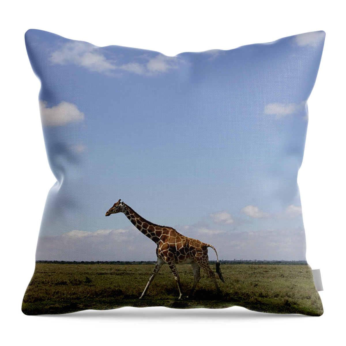 Hiroya Minakuchi Throw Pillow featuring the photograph Masai Giraffe On Savanna Masai Mara by Hiroya Minakuchi