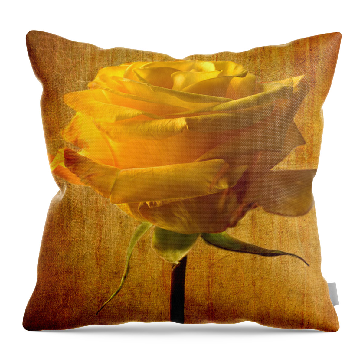 Yellow Rose Throw Pillow featuring the photograph Mellow Yellow by Marina Kojukhova