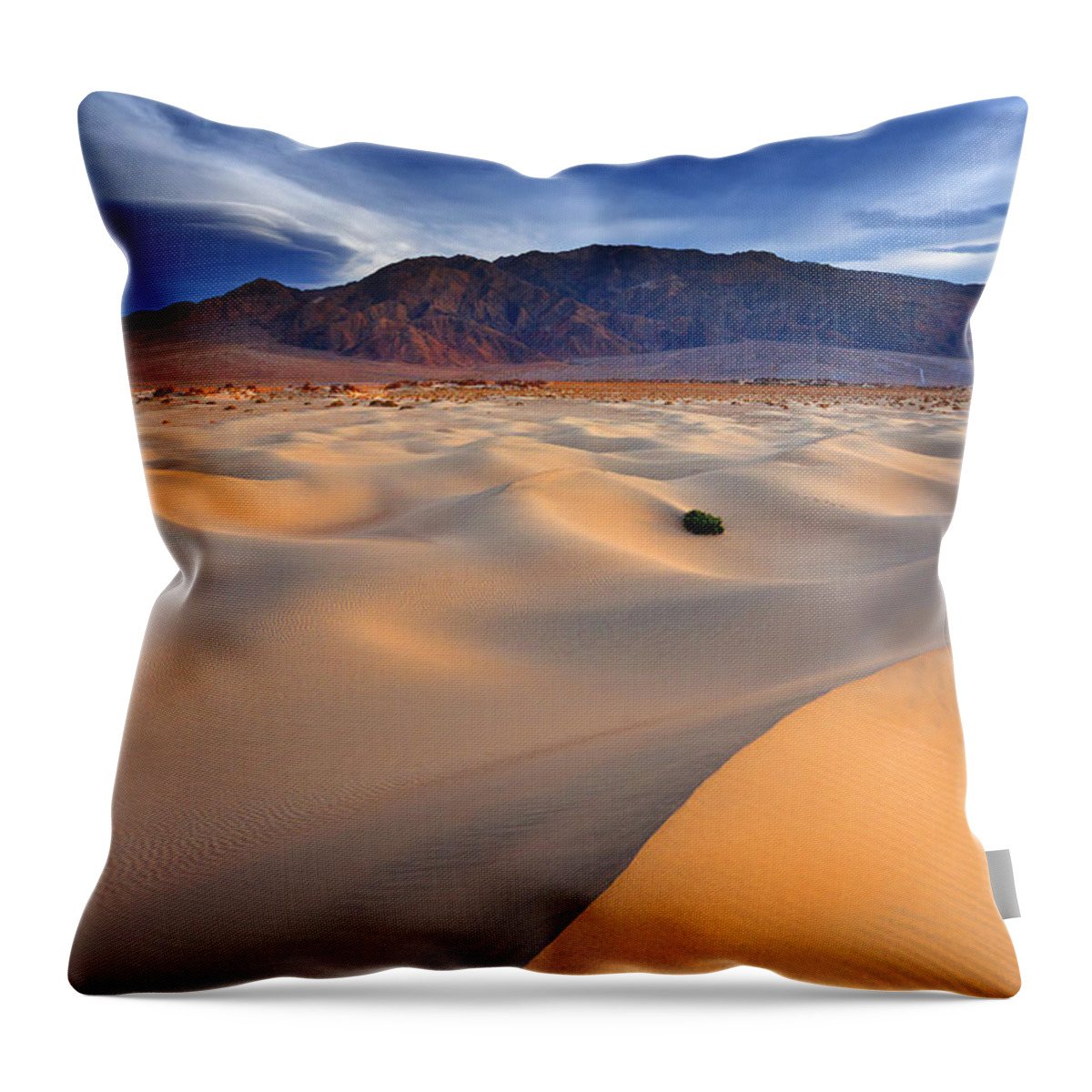 Death Valley Throw Pillow featuring the photograph Mesquite Gold by Darren White