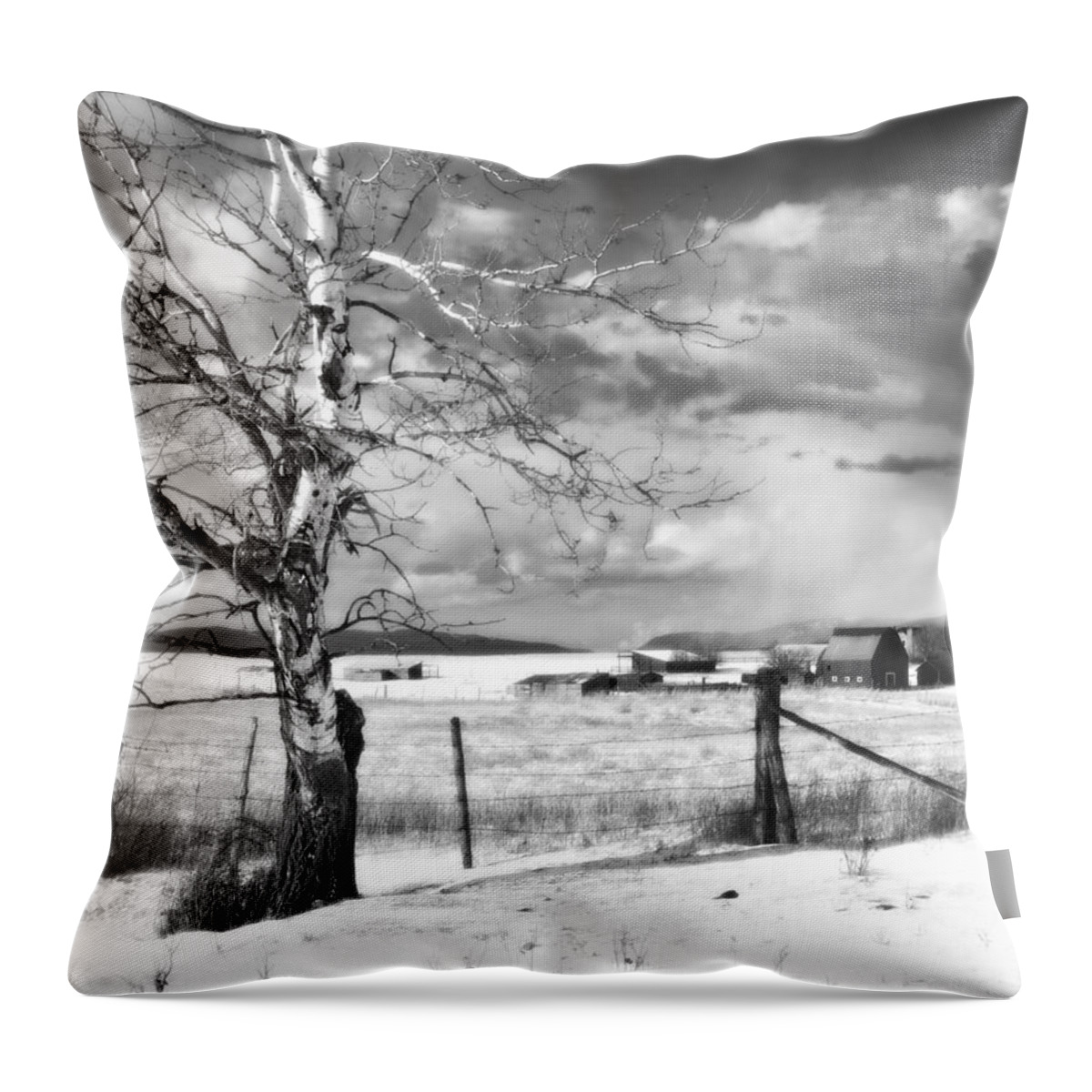 Snow Throw Pillow featuring the photograph Mid-winter Moonlight by Theresa Tahara