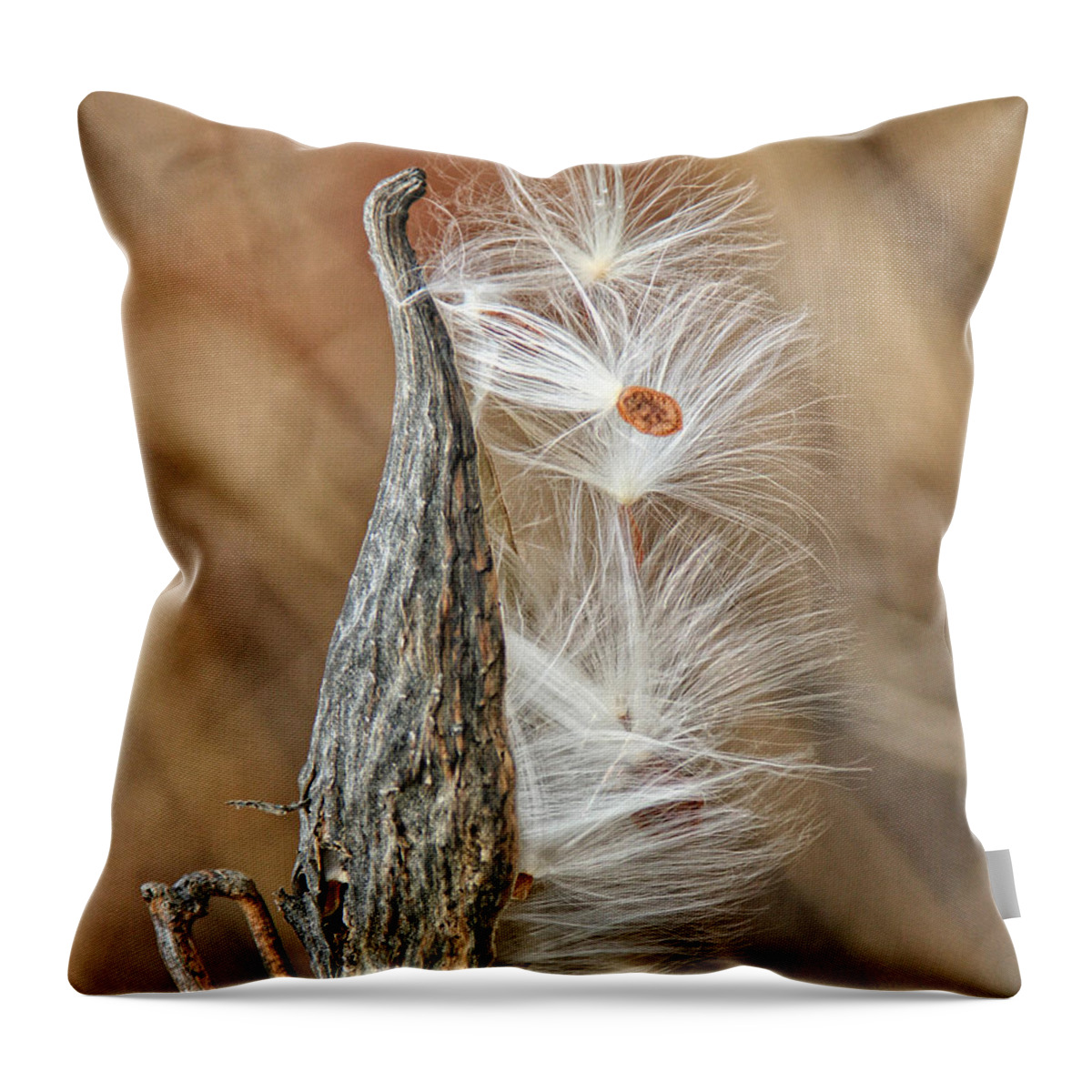 Nature Throw Pillow featuring the photograph Milkweed Pod and Seeds by William Selander