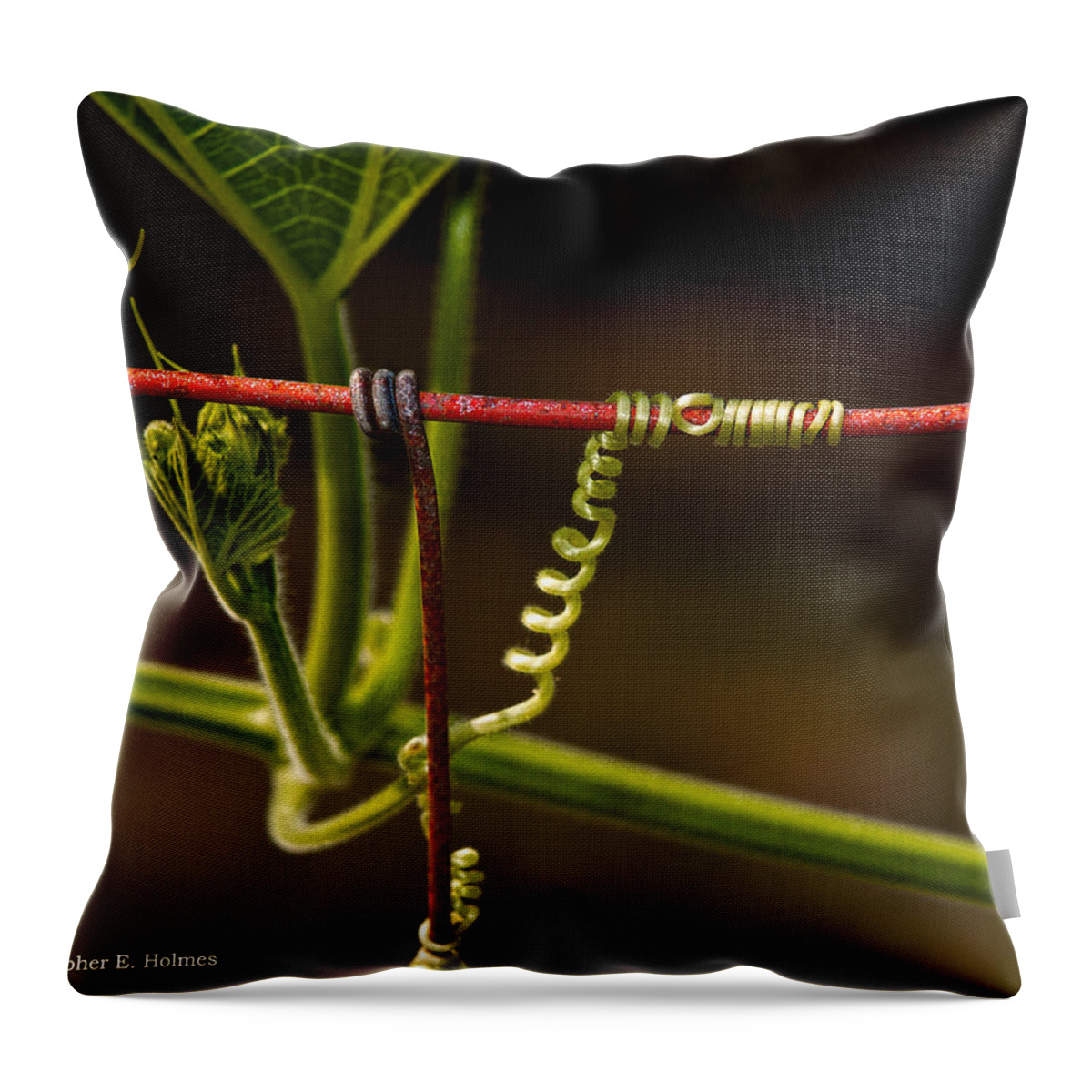 Wire Throw Pillow featuring the photograph Mimic by Christopher Holmes