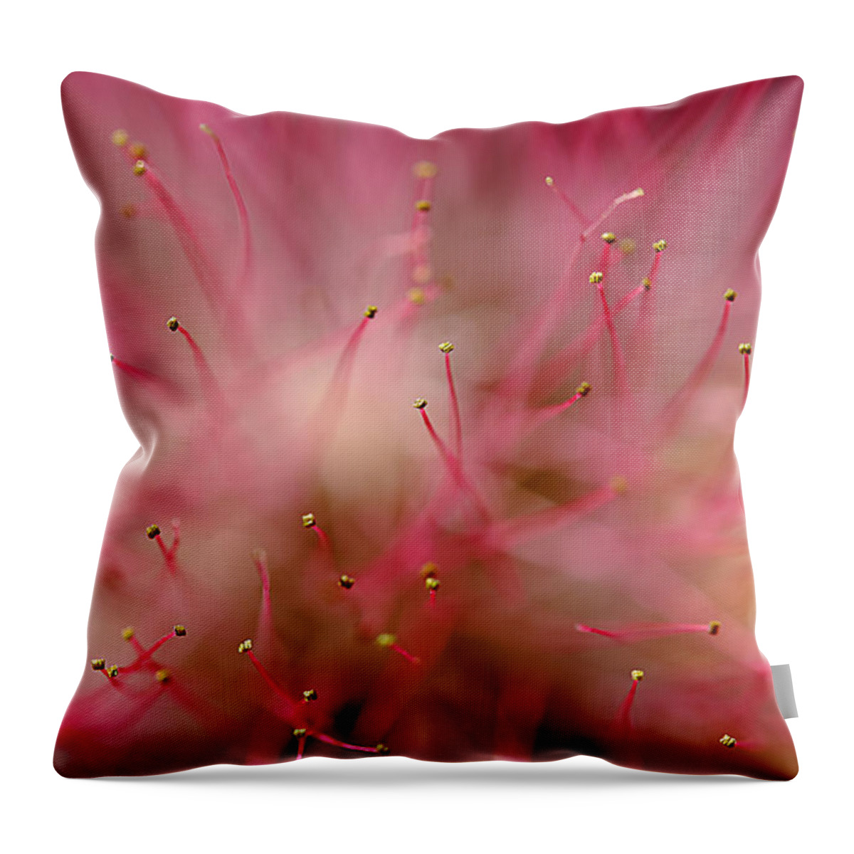 Mimosa Throw Pillow featuring the photograph Mimosa Fireworks by Michael Eingle
