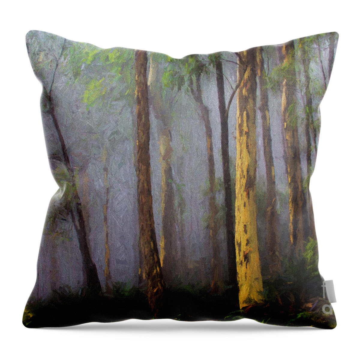 Mist Throw Pillow featuring the photograph Mist in forest by Sheila Smart Fine Art Photography